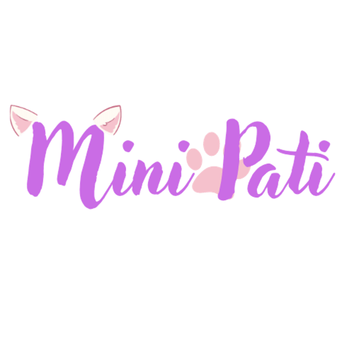 Mini Pati
